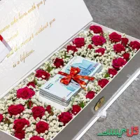 ایرانیان هم وطنان پیام دهید رایگان به همه میده