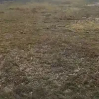 ۸۸۰مترزمین  با پروانه ساخت ۹۹متری دور دیوارودروازه