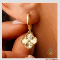 اعددگوشواره گم شده حوالی میدان سرچشمه