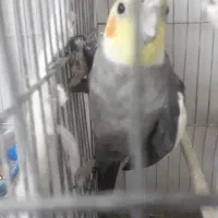 ۰۰۰