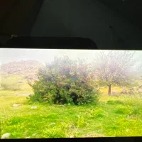 فروش زمین باغ شهری