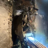 جذب کارگر با مزایا|استخدام معماری، عمران و ساختمانی|تهران, عبدلآباد|دیوار