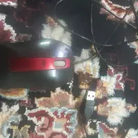 موس و کابل