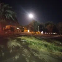 فروش خط تلفن