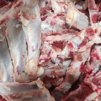 استخوان تازه دنده گوسفند ماش دلستر