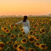 عکاسی و فیلمبرداری عروس داماد