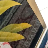 آینه|آینه|تهران, وحیدیه|دیوار