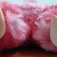 فروش لبوبو اصلی به بالاترین قیمت پیشنهادی|کلکسیون و سرگرمی|نورآباد, |دیوار