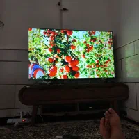 درمورد استرس