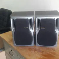 یک جفت باند آیوا