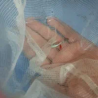 ماهی|ماهی|اردبیل, |دیوار