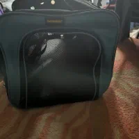 باکس پت گربه