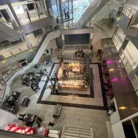 کافی شاپ پالادیوم