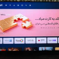 تلوزیون ۶۵اینچ|تلویزیون و پروژکتور|بوئین زهرا, |دیوار