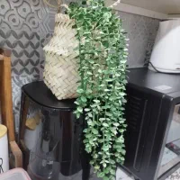 سبدحصیری|گل مصنوعی|اهواز, حصیرآباد|دیوار