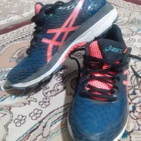 کفش|کیف، کفش، کمربند|اردبیل, |دیوار