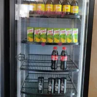 یخچال ایستاده تک در مغازه