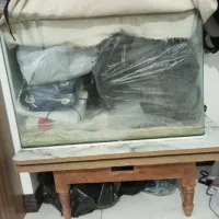 آکواریوم|ماهی|تهران, شهرک صادقیه|دیوار