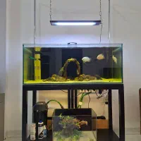 آکواریوم ریملس 100*40*40 پمپ ایهایم 2215