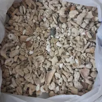 صدف .سنگ مرجان|ماهی|گلستان (تهران), |دیوار