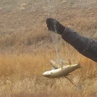 وسایل ماهیگیری
