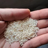 برنج هاشمی درجه یک عطری