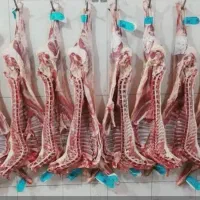 تعاونی گوشت گوسفندی کشتارتازه با کالابرگ