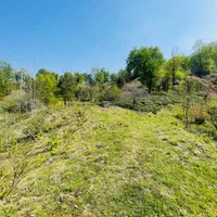 مثه این زمین نداریم خدایش تو گیلان صفر جنگل|فروش زمین و ملک کلنگی|شفت, |دیوار