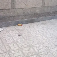 ویلایی ۸۰متری تاپ لوکیشن استثنایی طلاب/مسکن الماس|فروش خانه و ویلا|مشهد, گلشور|دیوار