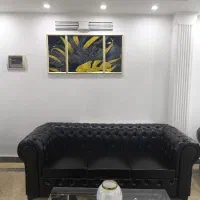 نیم ست چستر اداری|مبلمان اداری|آمل, |دیوار