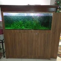 اکواریوم ۱۵۰×۶۰×۵۰