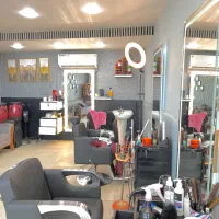 به یک کار آموز جهت یادگیری و کار در پیرایش کاتینو