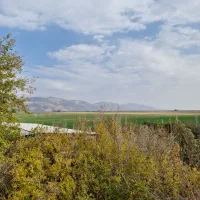 اجاره ۱۵ هکتار زمین یونجه|اجارهٔ دفتر صنعتی، کشاورزی، تجاری|مرودشت, محمد آباد|دیوار