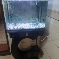 آکواریوم ماهیران فروش فوری با پایه