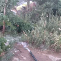باغ ۲۵۰ متری ۴۲۰ ملیون