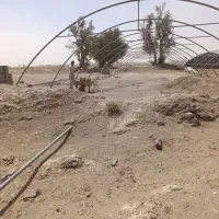 جوشکاری و نصب انواع گلخانه خانگی و صنعتی|خدمات پیشه و مهارت|زابل, |دیوار