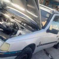 روا سالم دوگانه شرکت