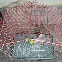 ۲. عدد قفس پرنده تمیز. سالم