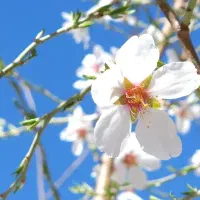 انجام خدمات تایپ،پاور پوینت،ترجمه