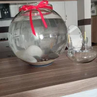 تنگ ماهی شیشه ای بزرگ