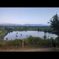 اجاره استخر ماهی ۳ هکتار برجاده /سوددهی عا،لی|فروش دفتر صنعتی، کشاورزی، تجاری|شفت, |دیوار