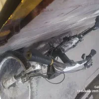 دوچرخه پلیس