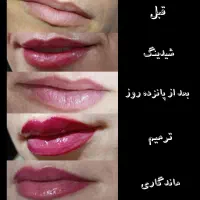 شیدینگ|خدمات آرایشگری و زیبایی|کوهدشت, |دیوار