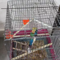 قفس چهار در