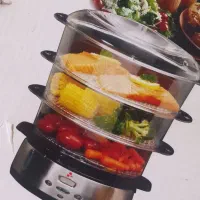 میوه خشک کن و بخار پز جانسون اصل