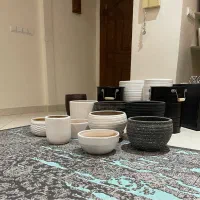 گلدان|گل و گیاه طبیعی|تهران, پونک|دیوار