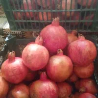 فروش انار درجه یک|خوردنی و آشامیدنی|ارد, |دیوار