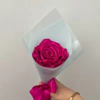 گل ربانی|گل مصنوعی|مهاجران, |دیوار