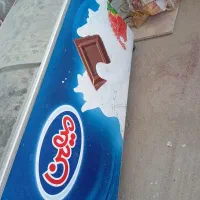 فریزربزگ سالم