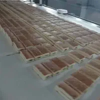 استخدام مدیر و سرپرست تولید(ناب سان)